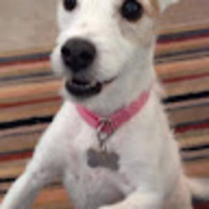 Meet your Posher, Christen